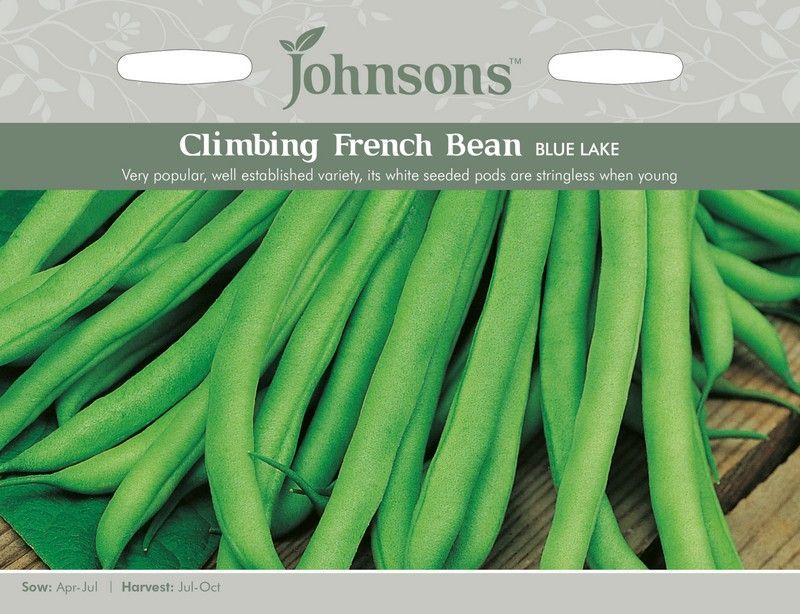 Johnsons Climbing Bean Blue Lake Seeds – Lathams of Potter Heigham