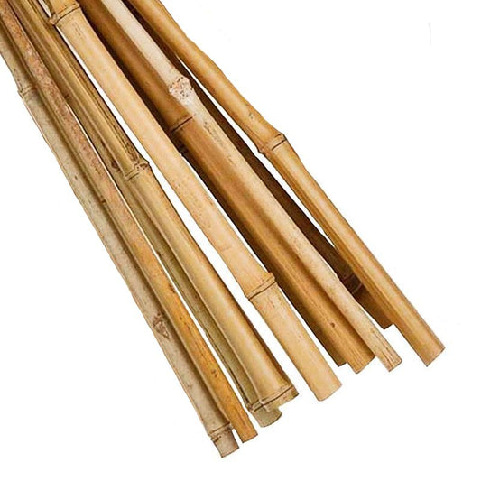 10 Pack 6 Foot Garden Canes