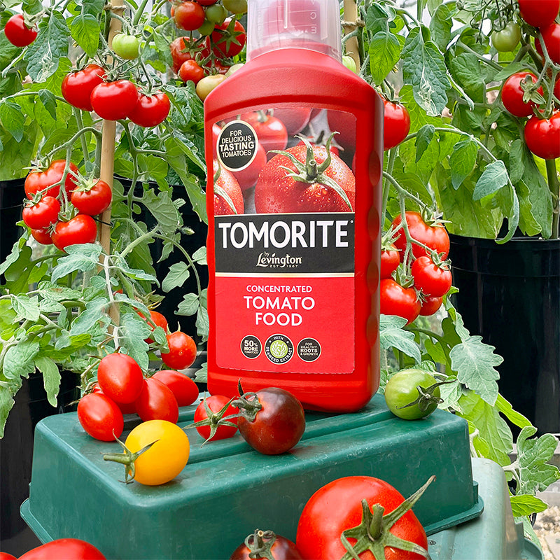 Levington Tomorite 1.2L Tomato Food